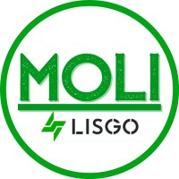 Moli Lisgo logo - Similar company to Solugreen