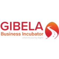 Gibela Business Incubator NPC logo - Similar company to Rmceri