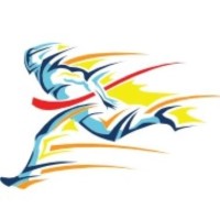Numa Wayne Capital Advisors logo - Similar company to Gt Securities