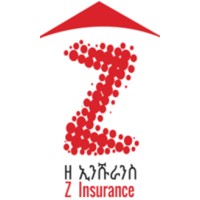 Zemen Insurance S.C logo - Similar company to Neftalem Consulting