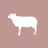 Atlas Wool Supply Co logo - Similar company to V6A Labs