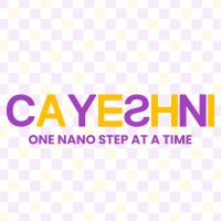 Cayeshni logo - Similar company to Salasel Technologies