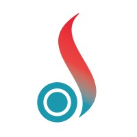 AEERVI logo - Similar company to Servei - Sociedad Española De Radiología Vascular E Intervencionista