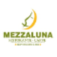 Mezzaluna Greece logo - Similar company to The Coffee Project Switzerland