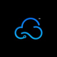 skyniche logo - Similar company to Techzit Info Dynamics