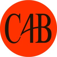C4Boom