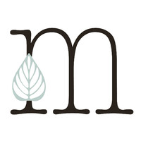 Mint Professional Services, LLC logo - Similar company to Outstand Tech