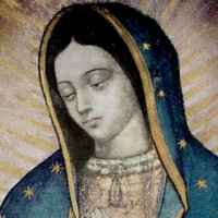MISIONEROS DE GUADALUPE logo - Similar company to Cja Contact Center