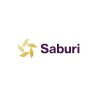 Saburi logo - Similar company to Saburi Solutions Llc