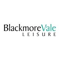 BLACKMORE VALE LEISURE LTD logo - Similar company to Smv Commercials Ltd