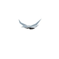 Paragon Security Consultants LLC logo - Similar company to Paragon Security Ltd