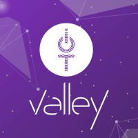 IOT Valley logo - Similar company to Skyted