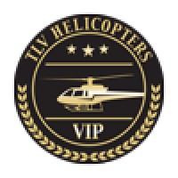 TLV HELICOPTERS logo - Similar company to Bigscreen