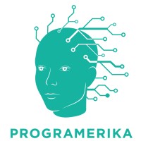 Programerika logo - Similar company to Chili Solutions
