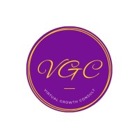 Virtual Growth Consult logo - Similar company to Virtual Paladins