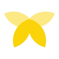 Little Lungs First Aid logo - Similar company to Silver Linings Foundation