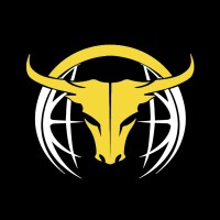 World Trading Leagues logo - Similar company to Anukul India