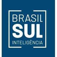 Brasil Sul Inteligência logo - Similar company to Blz