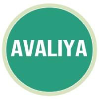 AVALIYA GLOBAL SERVICES PRIVATE LIMITED logo - Similar company to Solidblocks Design Studio