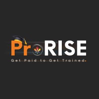 Pro-RISE logo - Similar company to Wing Tricks Technologies