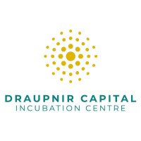 Draupnir Capital Incubation Centre logo - Similar company to The Project Embark