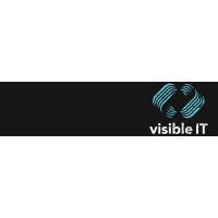 visibleIT Oy logo - Similar company to Visibleit Gmbh