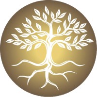 Rimbun logo - Similar company to Rkn & Co