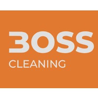 BOSS CLEANING logo - Similar company to Netto Group Services