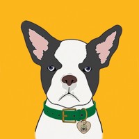 CBD Dog Health logo - Similar company to Cbd Hexe Onlinehandel
