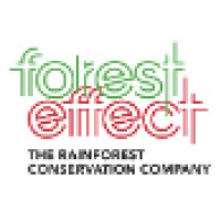 ForestEffect Fund logo - Similar company to Climate 8