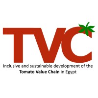 Inclusive and sustainable development of the tomato value chain in Egypt logo - Similar company to Sjs Holdings Llc