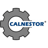 CALNESTOR Knowledge Solutions Pvt. Ltd. logo - Similar company to Skyla Software Solution Pvt Ltd
