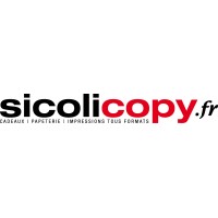 Sicolicopy logo - Similar company to Africa By Art