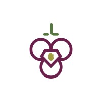 Conexão Plus logo - Similar company to Imperial Studio