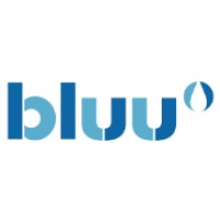 Bluu logo - Similar company to Rgm Revit Content Creation & Revit Modeling