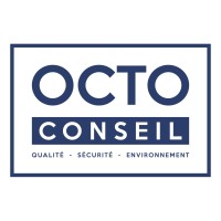 OCTO Conseil logo - Similar company to Performance Pme