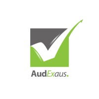 audexaus. logo - Similar company to Mcm Co. (Modular Construction Masters)
