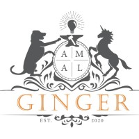 Ginger Brisbane logo - Similar company to Drivesavers Data Recovery