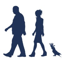 2 Stews & A Cockatoo