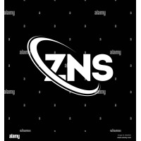 ZNS Technologies logo - Similar company to Amane Towers