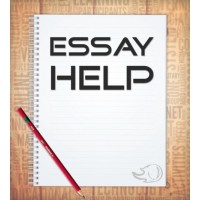 pro writer logo - Similar company to Ecommerce Hotline By Bemeir