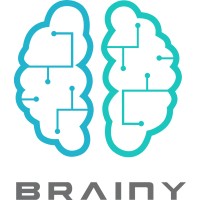 Brainy Resolution logo - Similar company to Mhz - Soluções Em Saúde