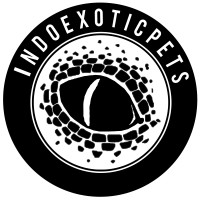 Indoexoticpets logo - Similar company to Davynci Creative