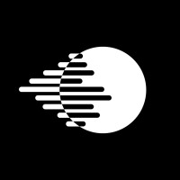 Digitalize logo - Similar company to Trive Risk