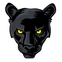 PNTHR Funds logo - Similar company to Partner Up