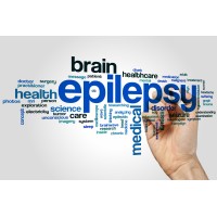 Equilibrium Epilepsy Group logo - Similar company to Equilibrium Chemicals