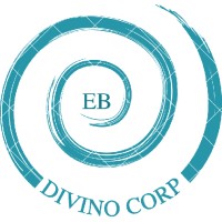 Divino Corp logo - Similar company to Modo Contable