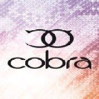 Cobra Maroc logo - Similar company to Rysa Soft