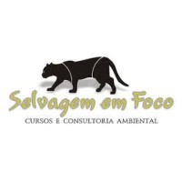 Selvagem em Foco logo - Similar company to Regua