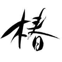 Tsubaki logo - Similar company to Nova Flexipack Pvt. Ltd. ™️